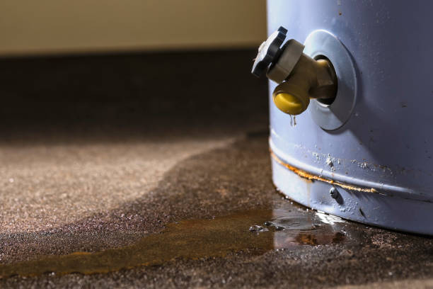 Best Water damage restoration process  in Shingletown, CA