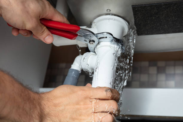 Best Sewage cleanup and water damage restoration  in Shingletown, CA