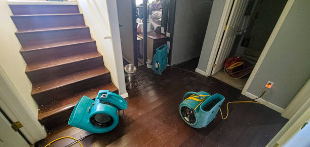 Best Ceiling water damage repair  in Shingletown, CA