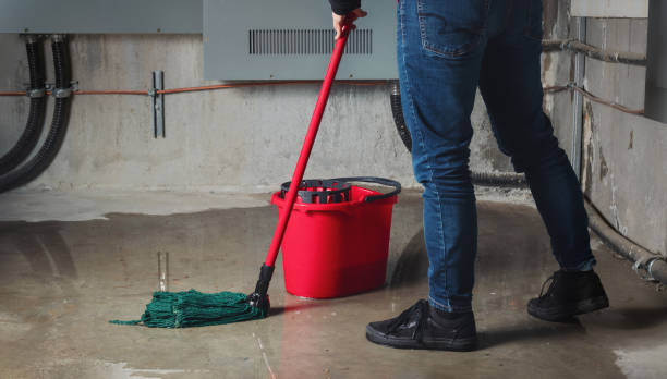 Professional Water damage restoration in Shingletown, CA