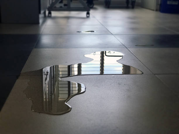 Best Water damage mitigation services  in Shingletown, CA