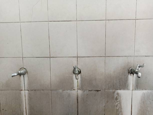 Best 24-hour water damage restoration  in Shingletown, CA