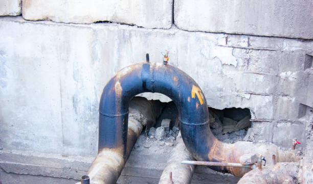 Best Carpet water damage restoration  in Shingletown, CA
