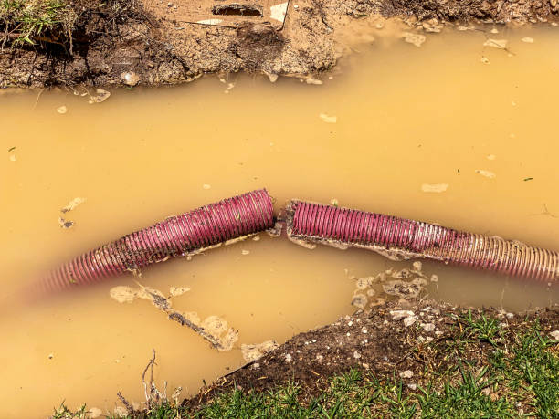 Reliable Shingletown, CA Water damage restoration Solutions