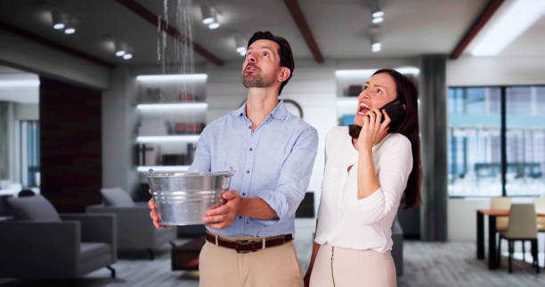 Best Professional water damage repair  in Shingletown, CA