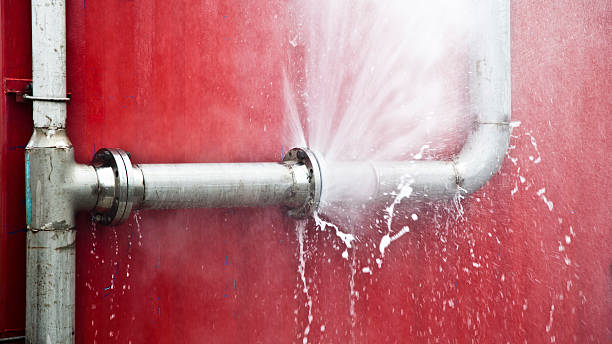 Best Flood restoration services  in Shingletown, CA